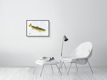 Load image into Gallery viewer, 7544543-2388312