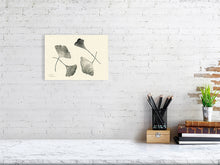 Load image into Gallery viewer, 7544571-2386033