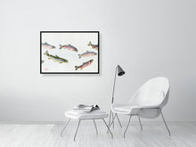 Load image into Gallery viewer, 7129635-2075599