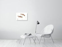 Load image into Gallery viewer, 7129639-2074582