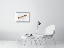 Load image into Gallery viewer, 7544549-2388298