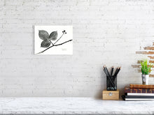 Load image into Gallery viewer, 7564232-2385989