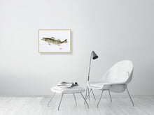 Load image into Gallery viewer, 7560241-2387586