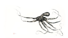 Load image into Gallery viewer, 7141160