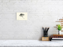 Load image into Gallery viewer, 7564229-2385990