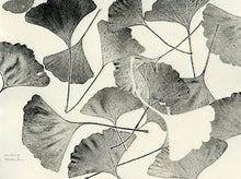 Load image into Gallery viewer, 7141159
