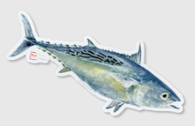 Load image into Gallery viewer, Bonita (False Albacore) Decal