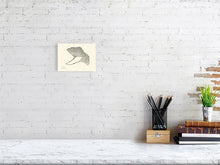 Load image into Gallery viewer, 7564228-2385992