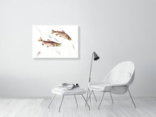 Load image into Gallery viewer, 7129639-2387848