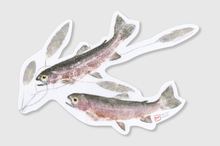 Load image into Gallery viewer, Rainbow Trout and Pondweed Decal