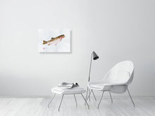 Load image into Gallery viewer, 7544549-2388297