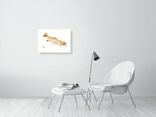 Load image into Gallery viewer, 7544548-2388295