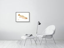 Load image into Gallery viewer, 7544548-2388296