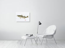 Load image into Gallery viewer, 7560241-2387582