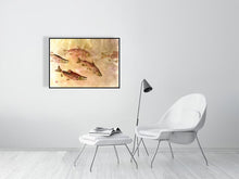 Load image into Gallery viewer, 7141162-2081506