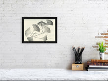 Load image into Gallery viewer, 7141158-2081489