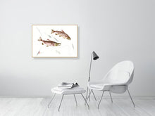 Load image into Gallery viewer, 7129639-2387849