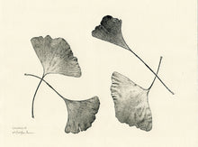 Load image into Gallery viewer, 7544571