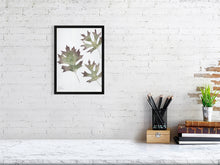 Load image into Gallery viewer, 7544578-2386004