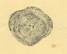Load image into Gallery viewer, 7141151