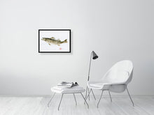 Load image into Gallery viewer, 7560241-2387585