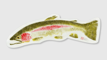 Load image into Gallery viewer, Rainbow Trout Decal