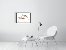 Load image into Gallery viewer, 7129639-2074584