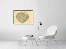 Load image into Gallery viewer, 7141151-2388317