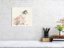 Load image into Gallery viewer, 7133472-2078490