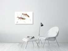 Load image into Gallery viewer, 7129639-2387845