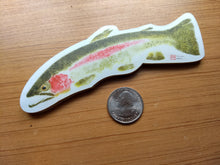 Load image into Gallery viewer, Rainbow Trout Decal