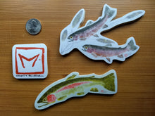 Load image into Gallery viewer, Rainbow Trout Decal