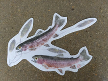 Load image into Gallery viewer, Rainbow Trout and Pondweed Decal