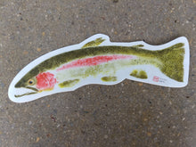 Load image into Gallery viewer, Rainbow Trout Decal