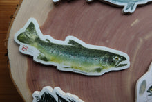 Load image into Gallery viewer, Set of 7 Weatherproof Fish and Feather Decals