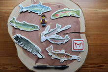 Load image into Gallery viewer, Set of 7 Weatherproof Fish and Feather Decals