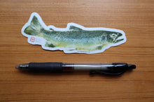 Load image into Gallery viewer, Brown Trout Decal