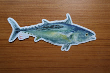 Load image into Gallery viewer, Bonita (False Albacore) Decal
