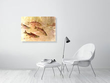 Load image into Gallery viewer, 7141162-2081505