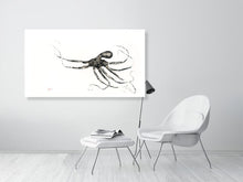 Load image into Gallery viewer, 7141160-2081497