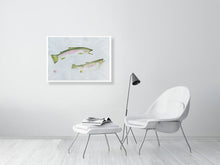 Load image into Gallery viewer, 7560261-2387223