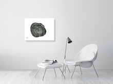 Load image into Gallery viewer, 7560245-2387866