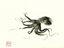 Load image into Gallery viewer, 7544536