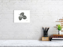 Load image into Gallery viewer, 7564275-2386173