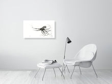 Load image into Gallery viewer, 7141160-2388315