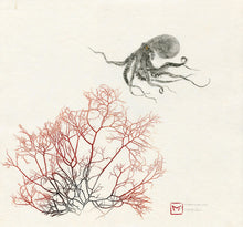Load image into Gallery viewer, 7133472