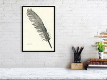 Load image into Gallery viewer, 7544581-2385998
