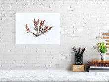 Load image into Gallery viewer, 7544579-2386001