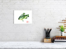 Load image into Gallery viewer, 7544586-2387775
