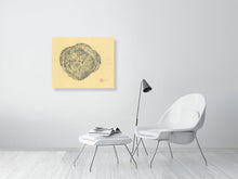 Load image into Gallery viewer, 7141151-2081484
